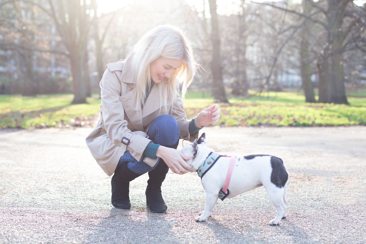 Beautiful woman caring for her pet