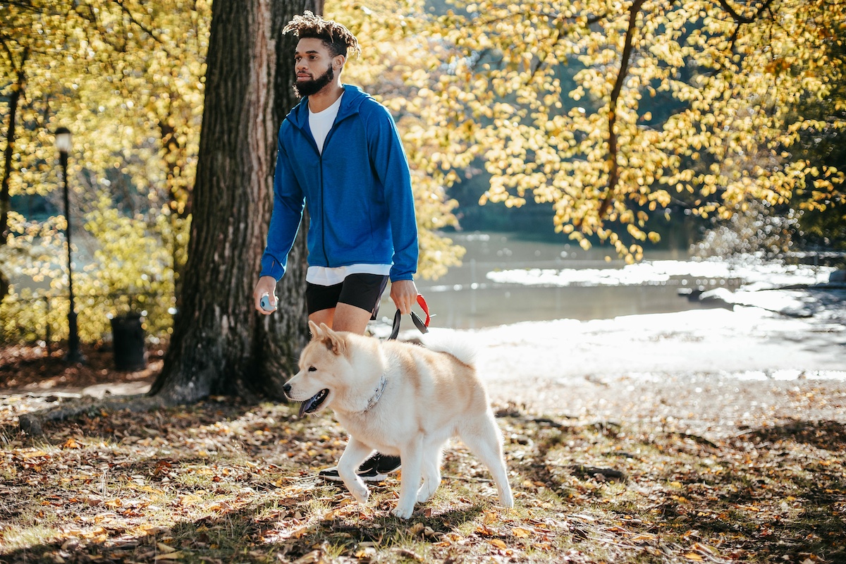 Boy walking a dog