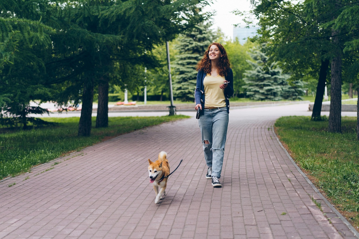 Girl walking a dog